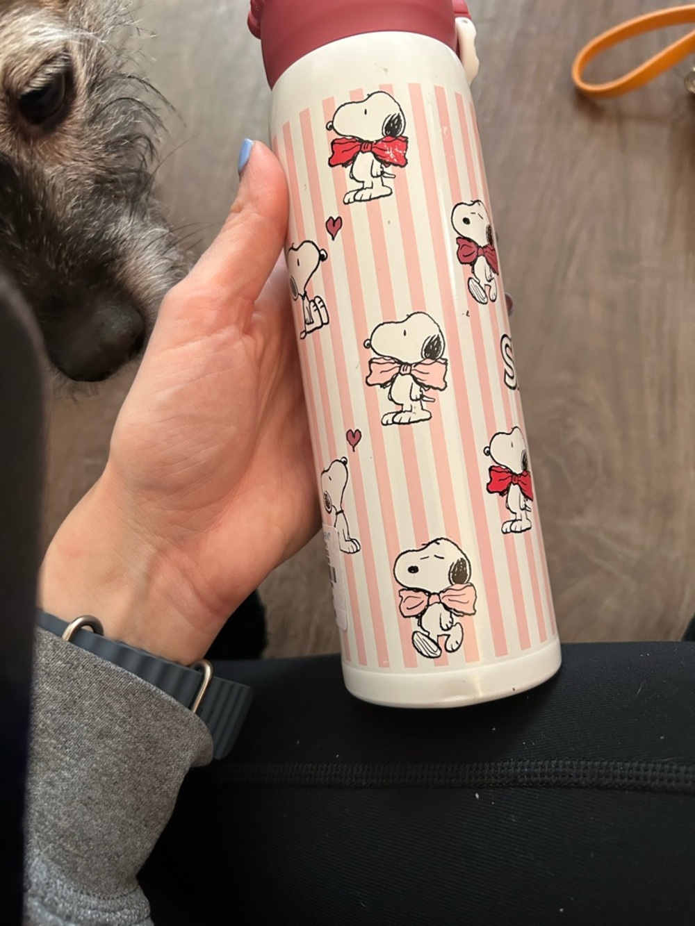 NWT Snoopy Pink Striped Stainless Bottle - Picture 6 of 6